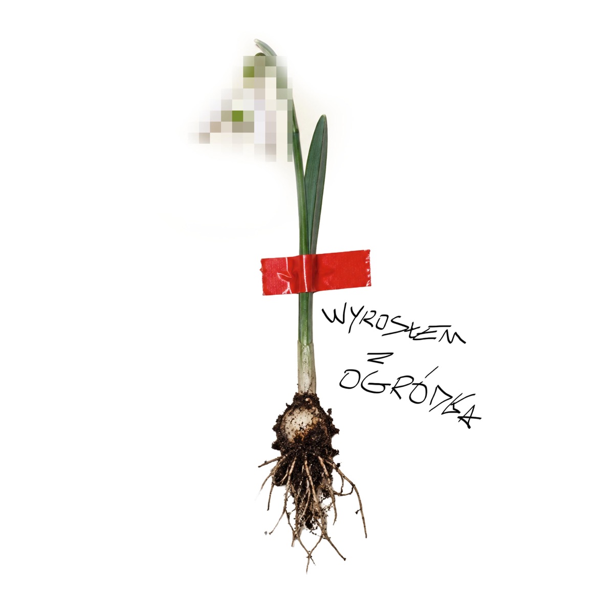 Wyrosłem z ogródka (feat. emti) - Single by MikeyS album cover