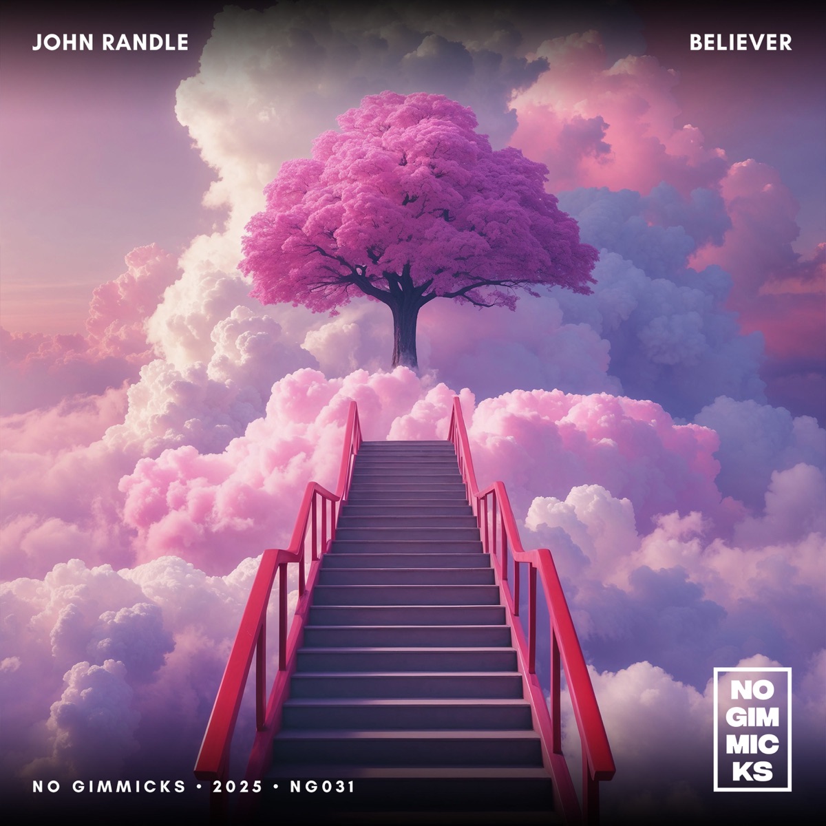 Believer - Single by John Randle album cover
