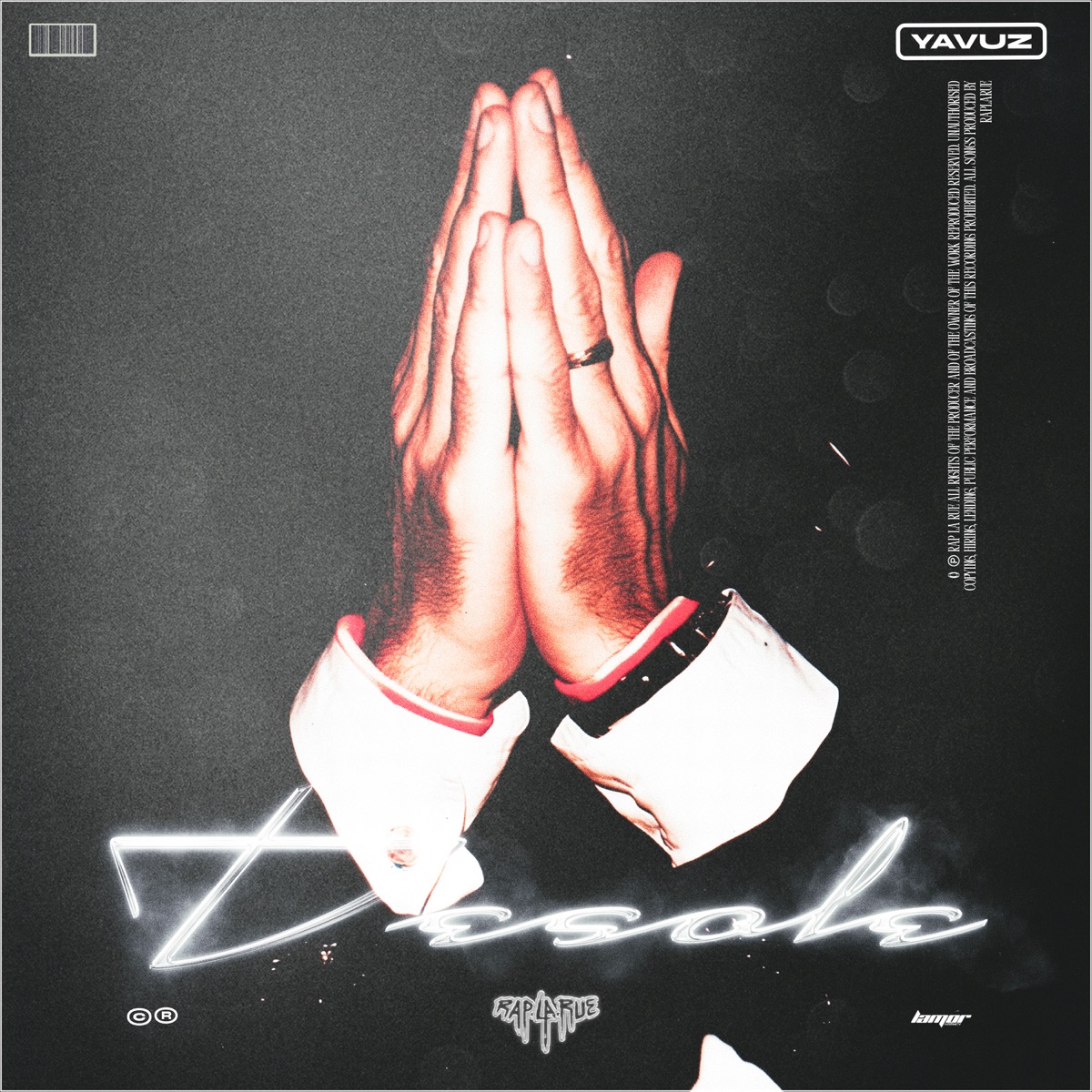 Desole (Rap La Rue) - Single by Der Yavuz album cover