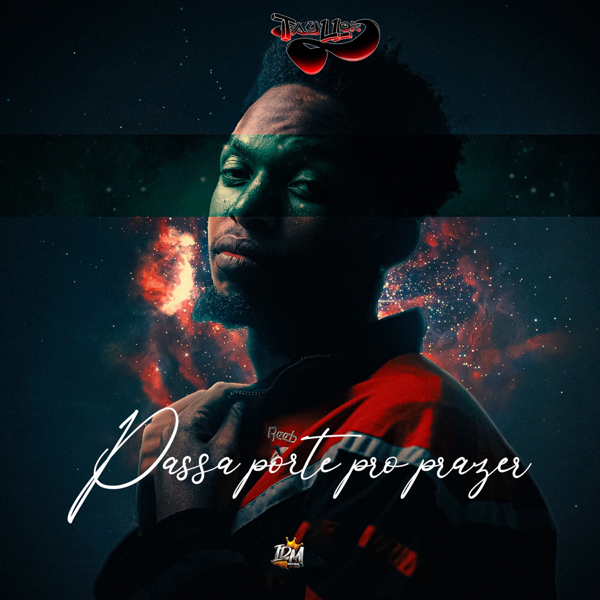 Passaporte pro Prazer - Single by Tayllor Mark$ album cover