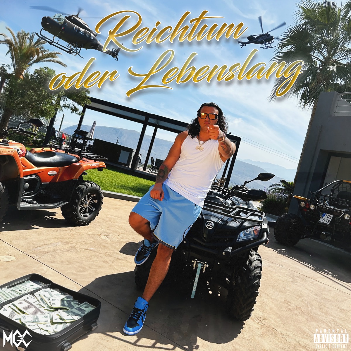 Reichtum oder Lebenslang - Single by FGUN $HAKI album cover