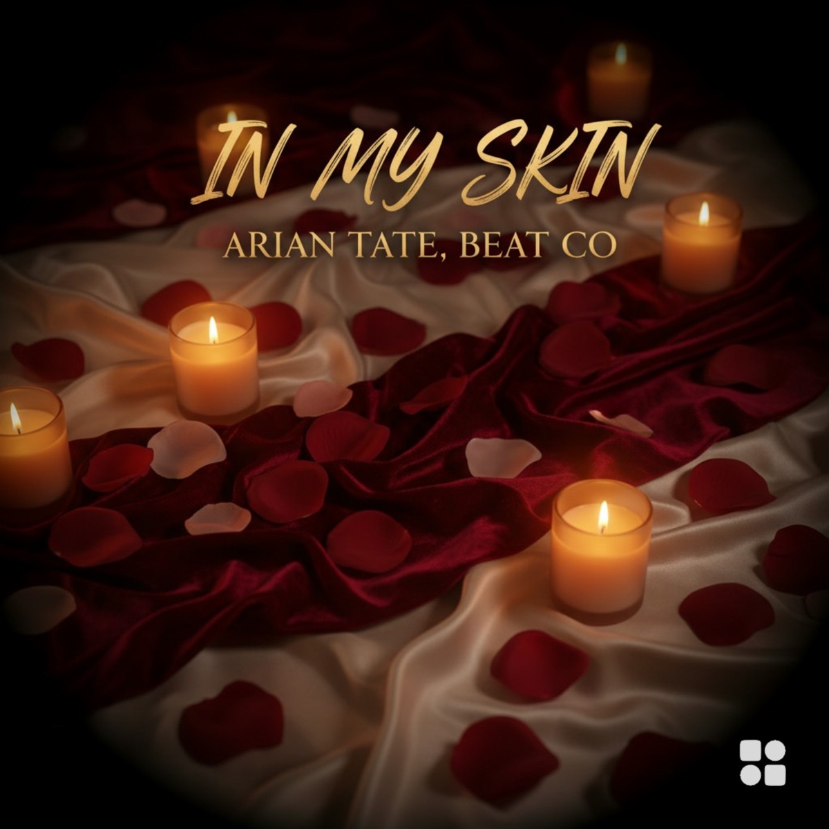 In My Skin - Single by Arian Tate & Beat Co album cover