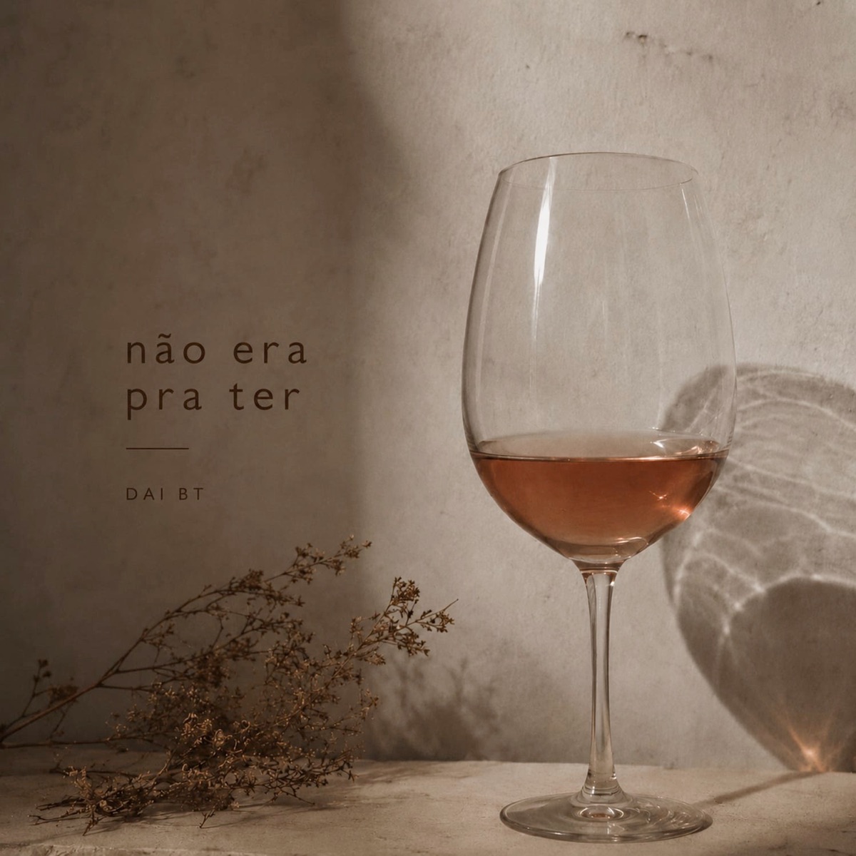 Não Era Pra Ter - Single by Dai BT album cover