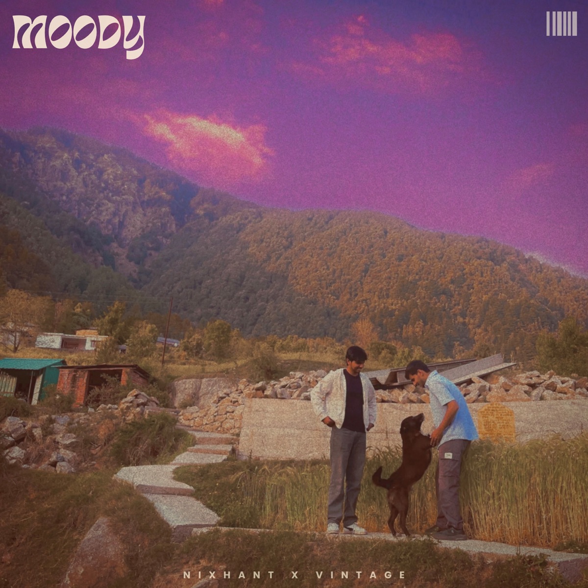 Moody - Single by Nixhant, Vintage & prod.qayaas album cover