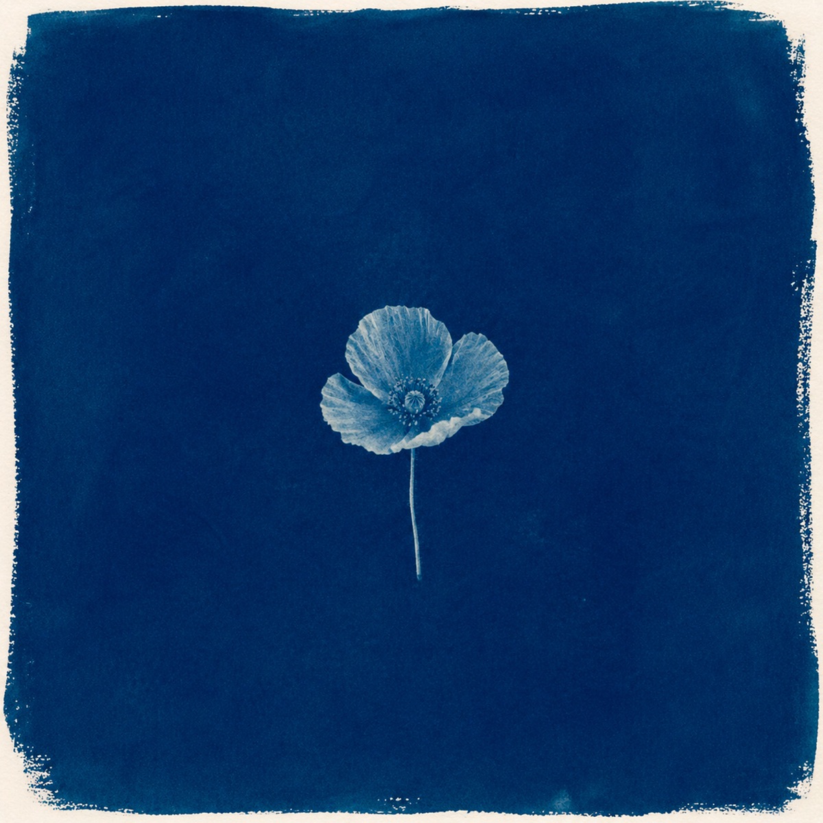 Alguien Como Tú - Single by Serko album cover