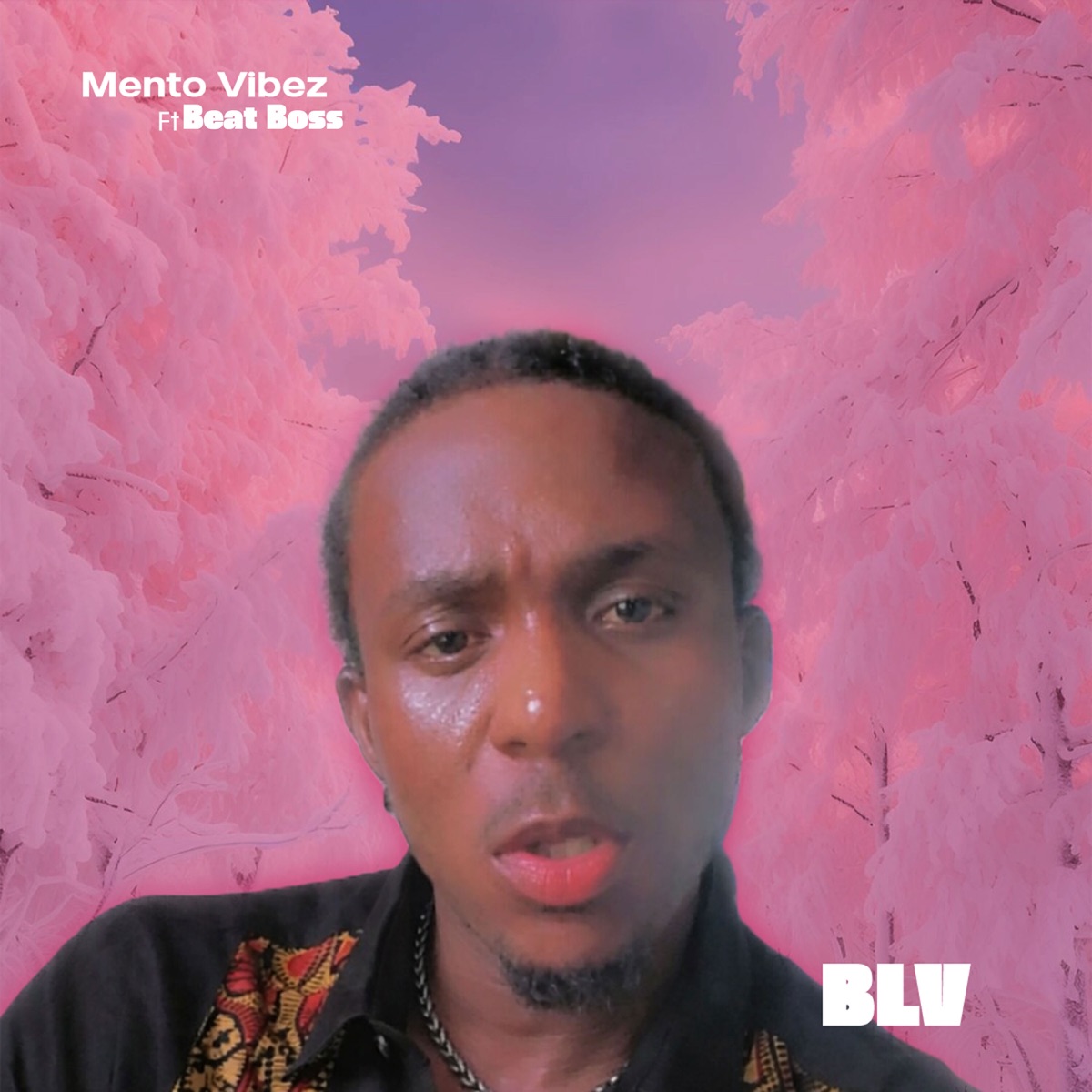 Blv (feat. Beat Boss) - Single by Mento vibez album cover