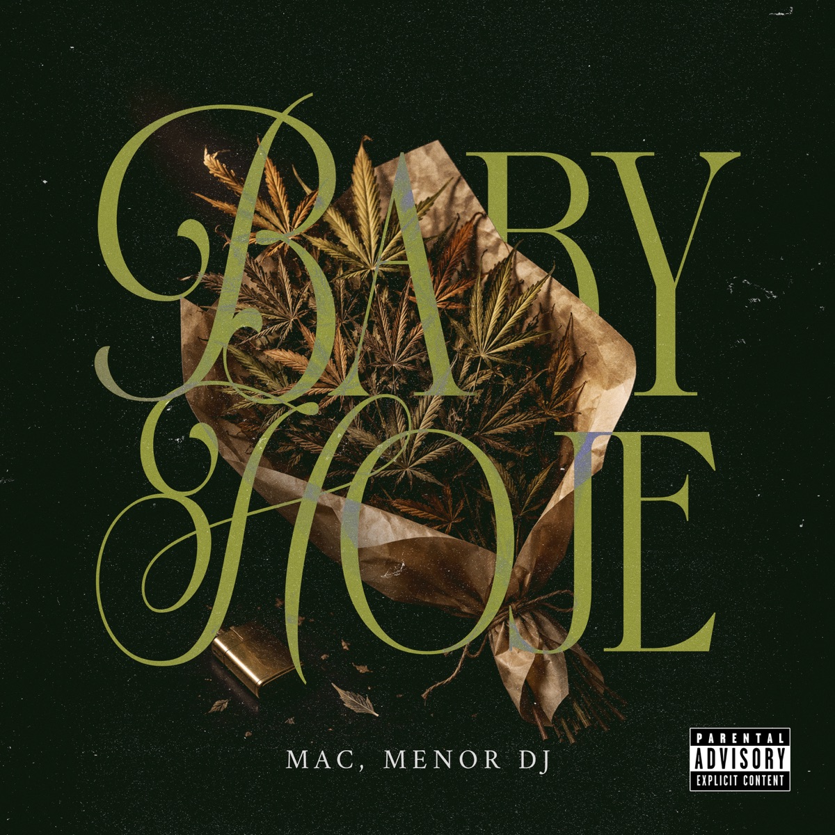 BABY HOJE - Single by Mac & Menordj album cover