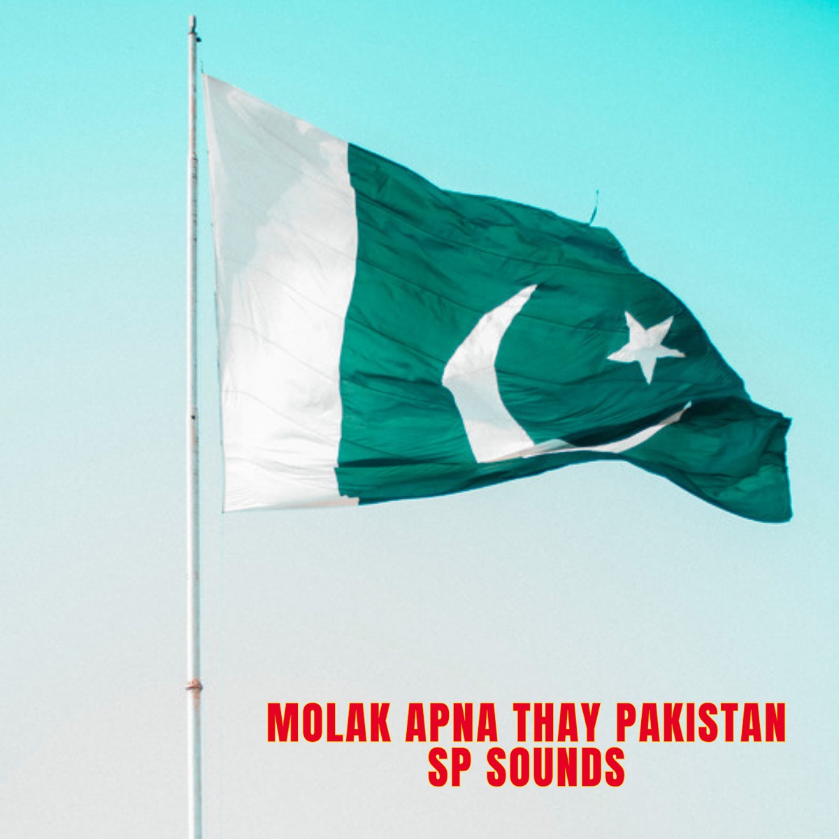 Molak Apna Thay Pakistan - Single by Sp Sounds album cover
