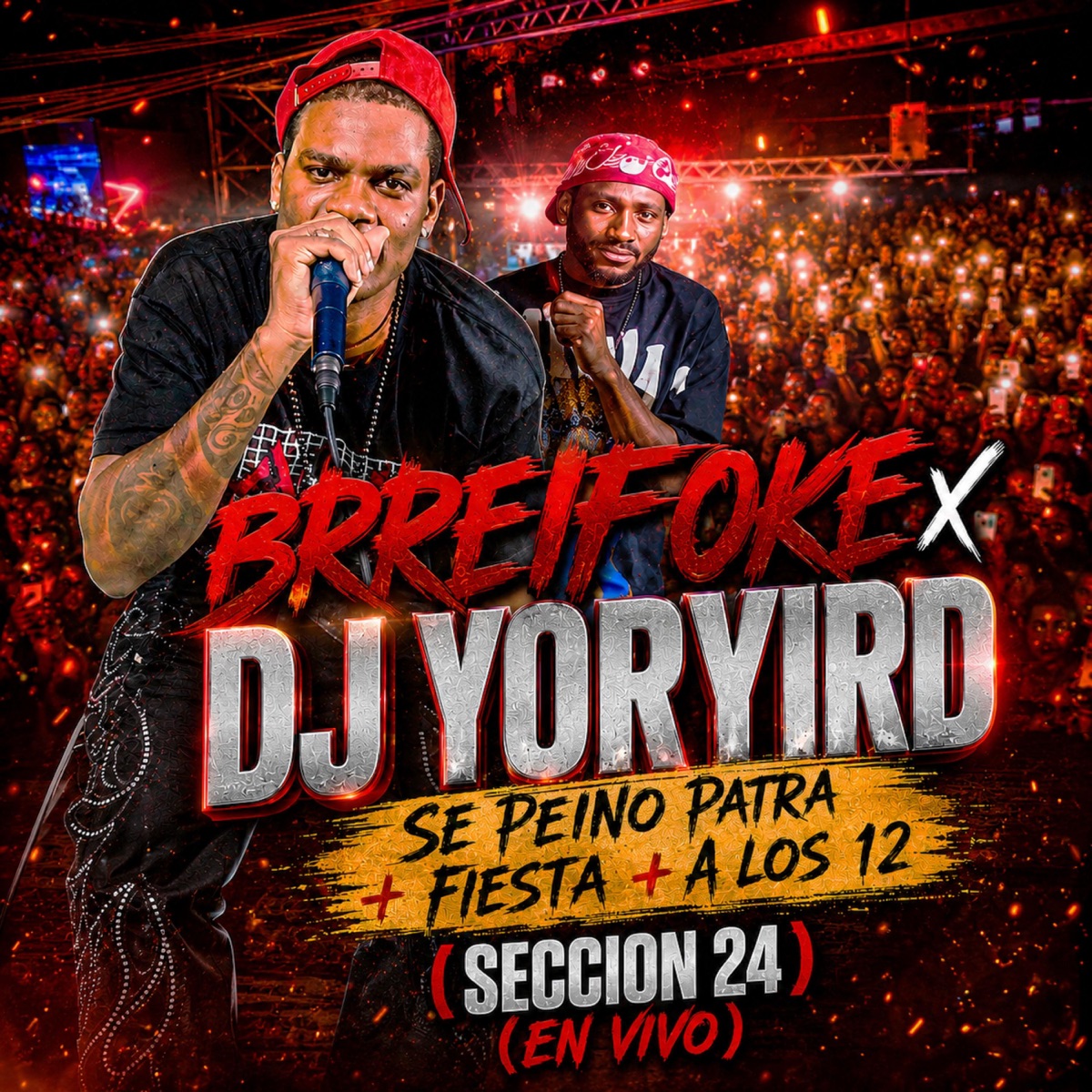 Se Peino Patra + Fiesta + A Los 12 (Seccion 24) (feat. Breifoke) [En vivo] - Single by Djyoryird album cover