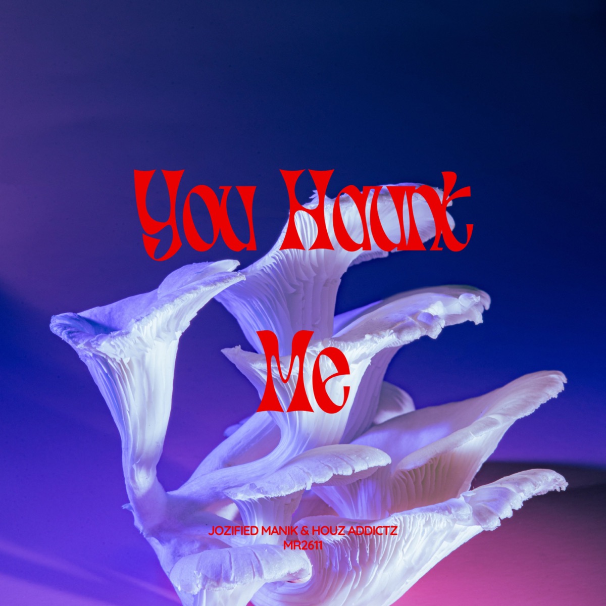 You Haunt Me - Single by Jozified ManiK & Houz Addictz album cover