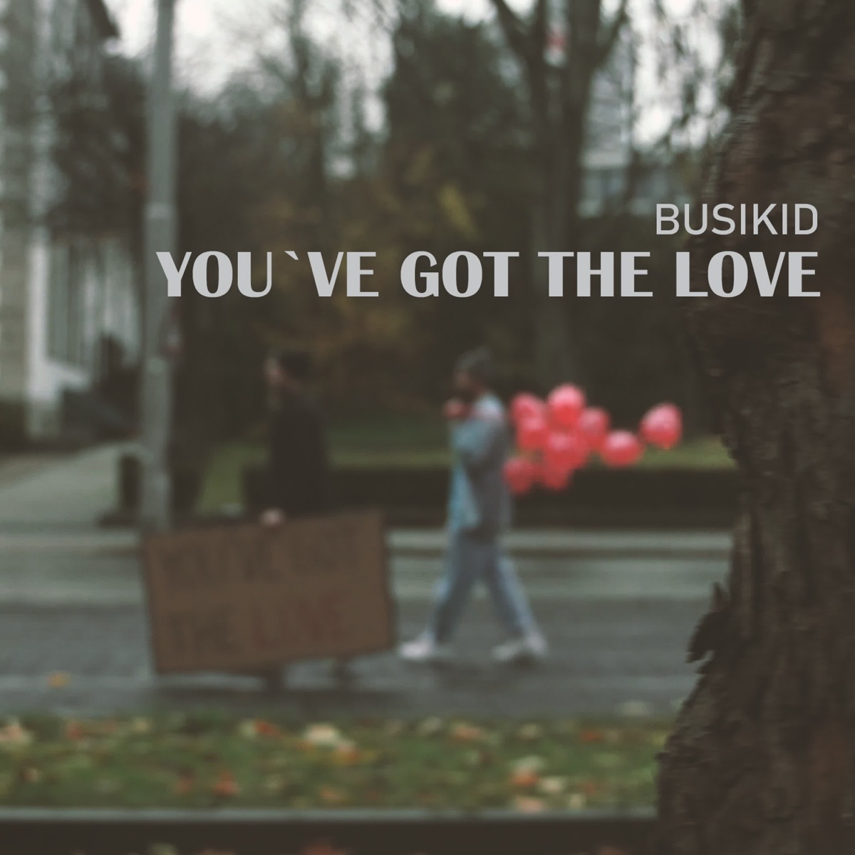 You've got the Love - Single by Busikid album cover