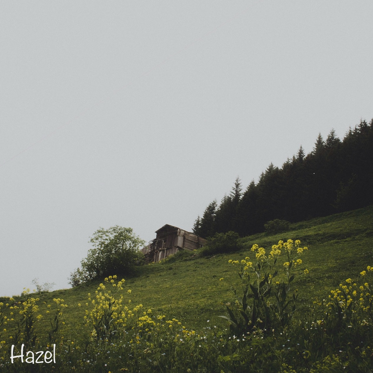 Hazel - Single by Nate2Timez album cover