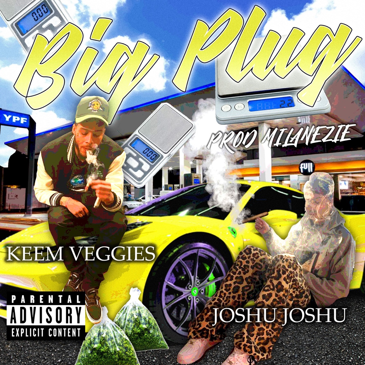 Big Plug (feat. Joshu Joshu) - Single by Keem Veggies album cover