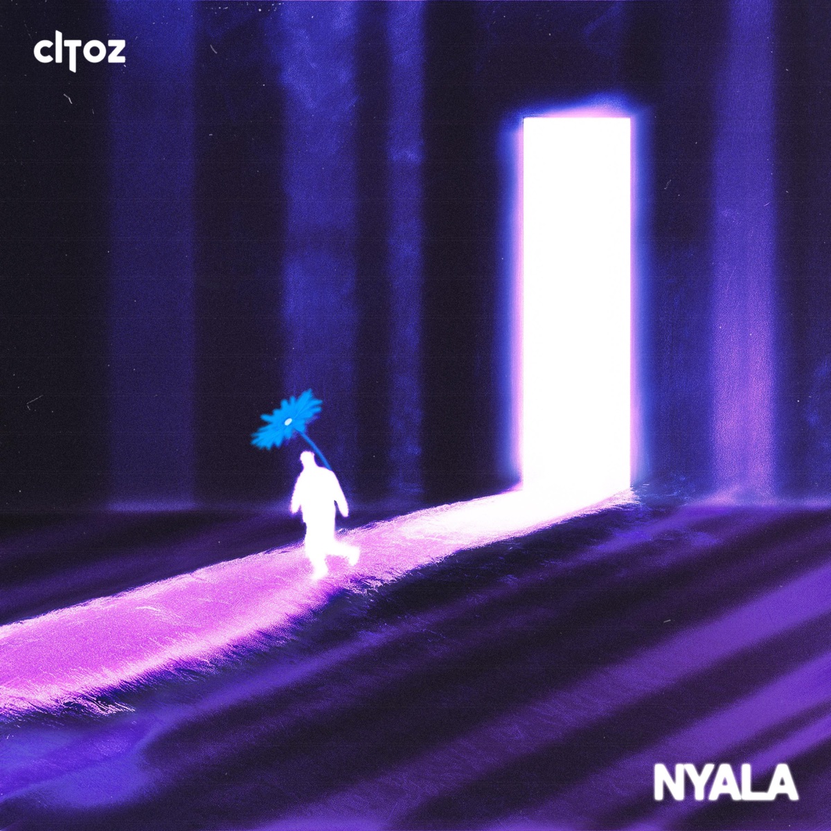 Nyala by Citoz album cover