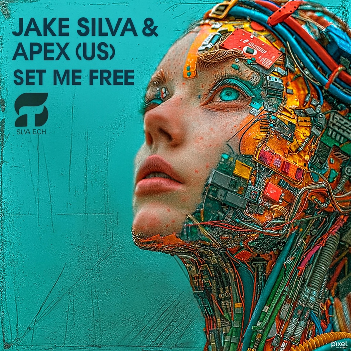 Set Me Free - Single by Jake Silva & Apex (US) album cover