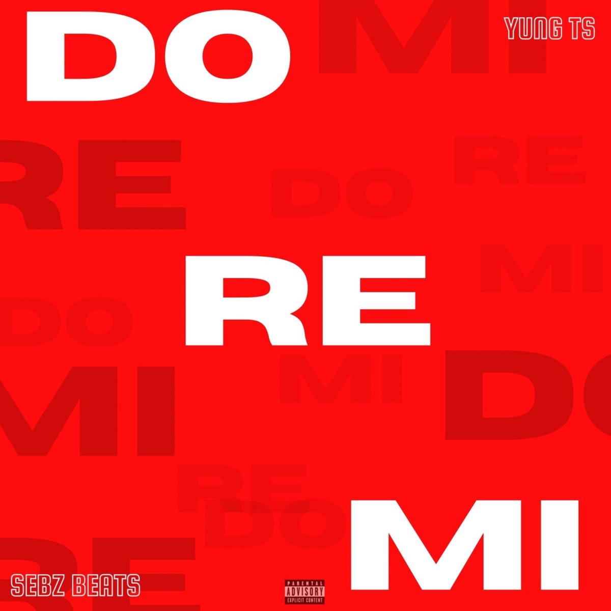 DO RE MI - Single by Yung TS & Sebz Beats album cover