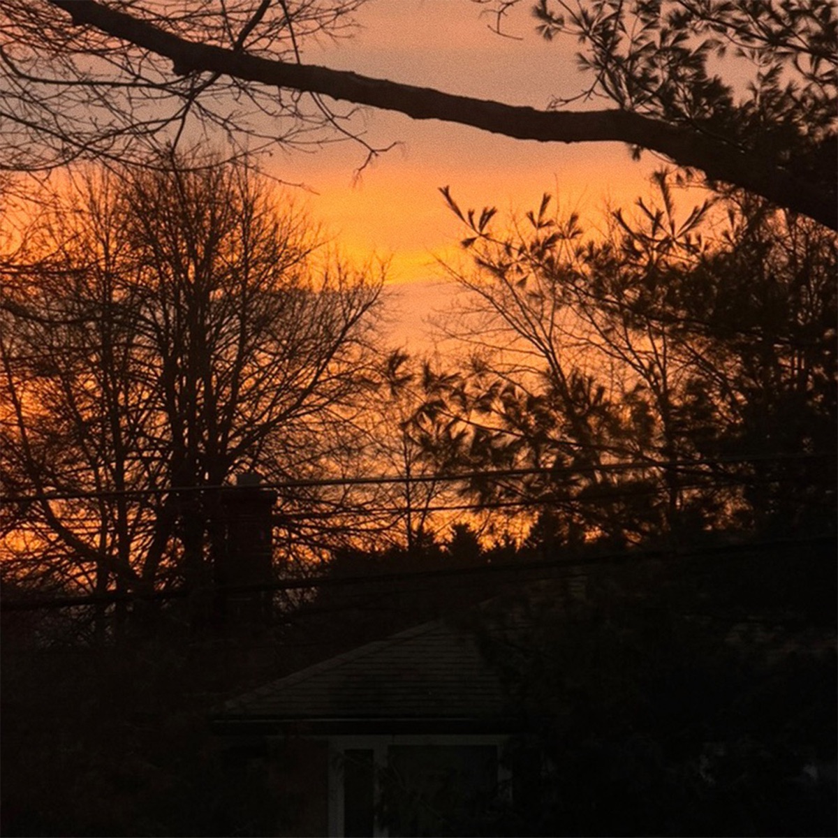 as the wind blows - Single by Brxvs & fnonose album cover