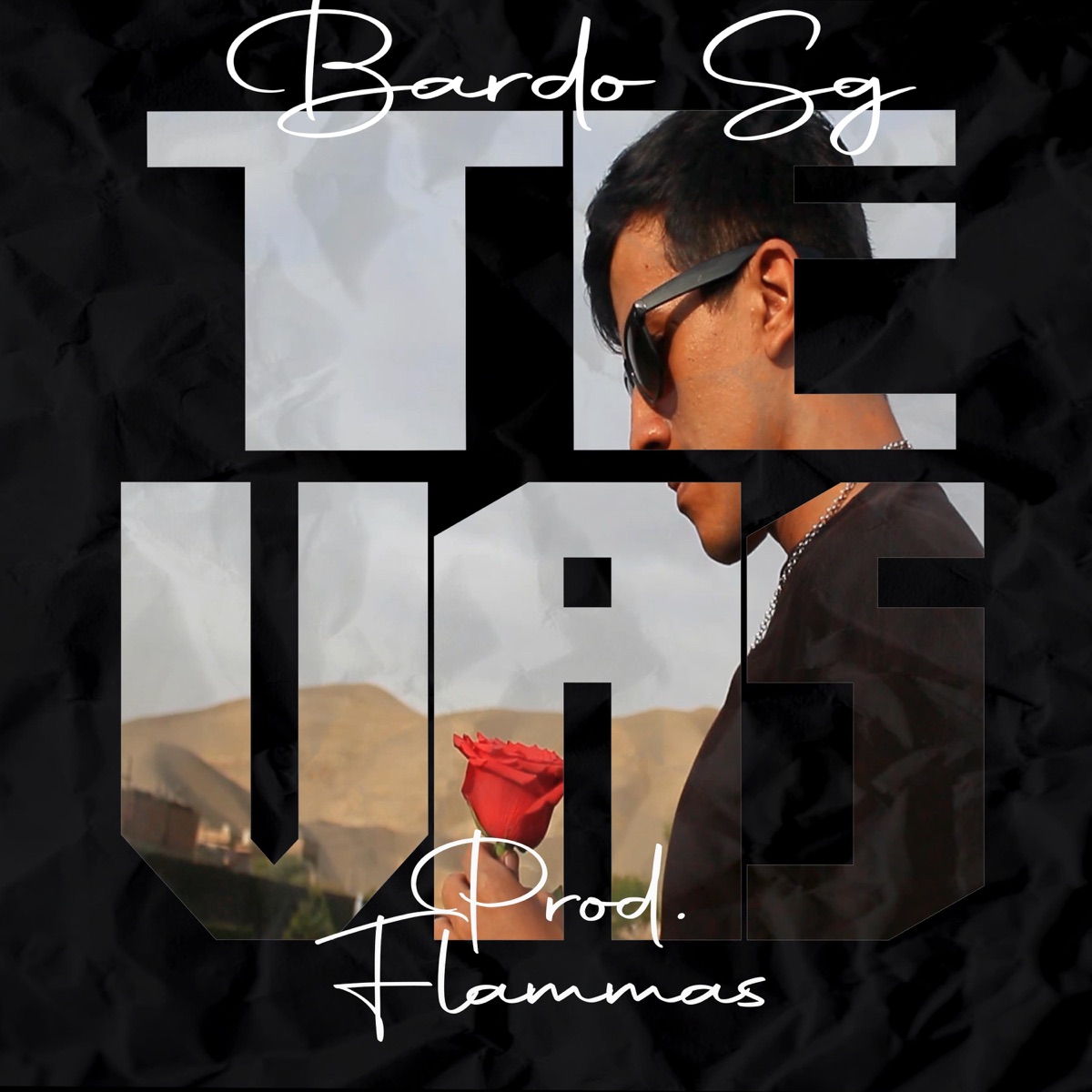 te vas - Single by Bardo SG album cover