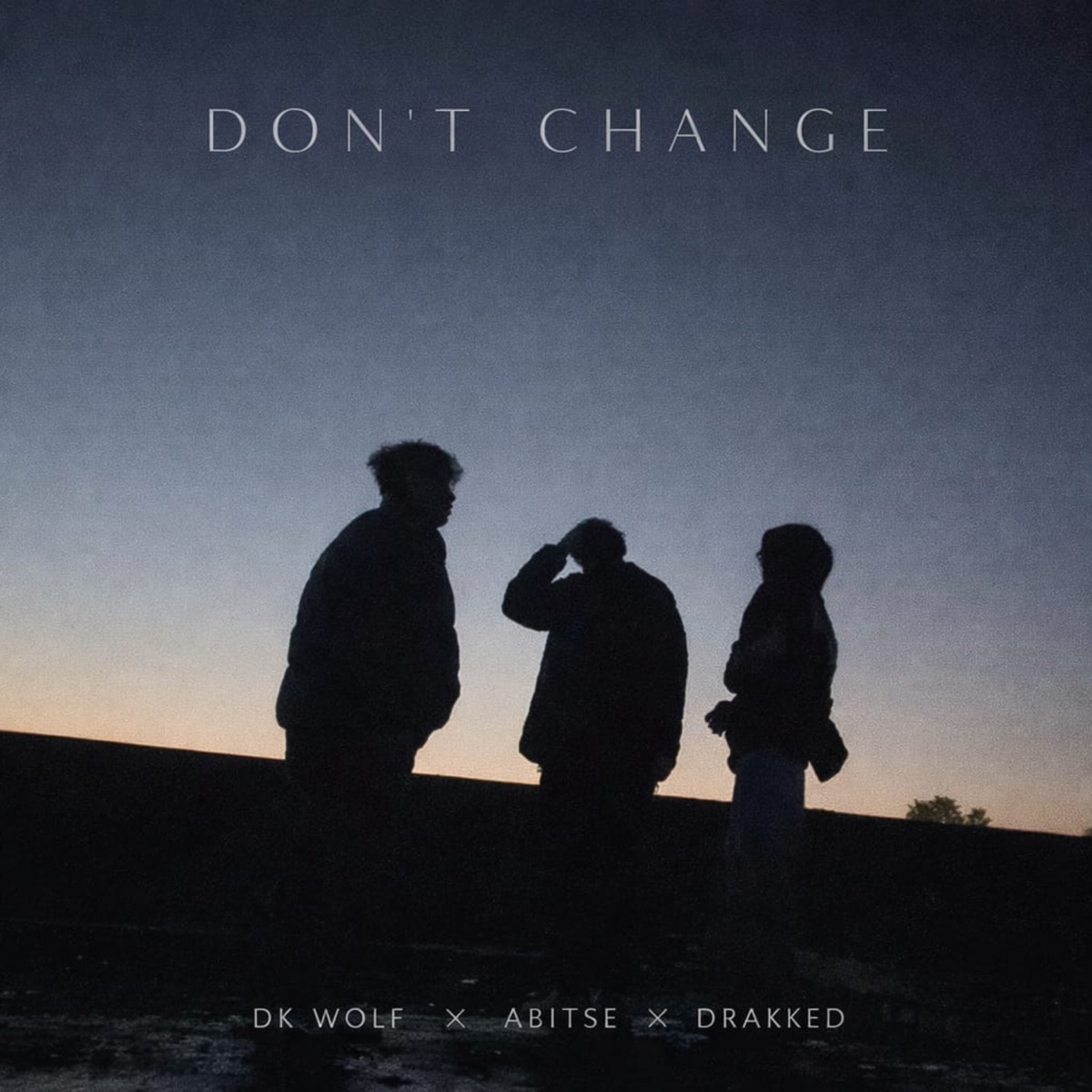 Dont Change - Single by DK WOLF, Abitse & drakked album cover