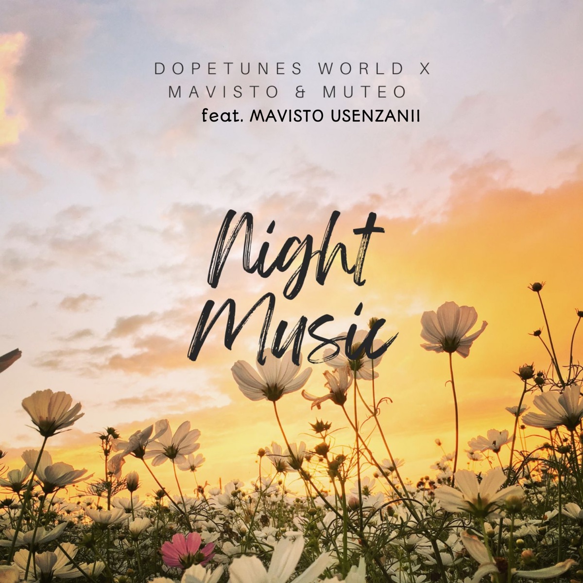 Night Music (feat. Mavisto Usenzanii) - Single by Dopetunes World & Mavisto & MuTeo album cover