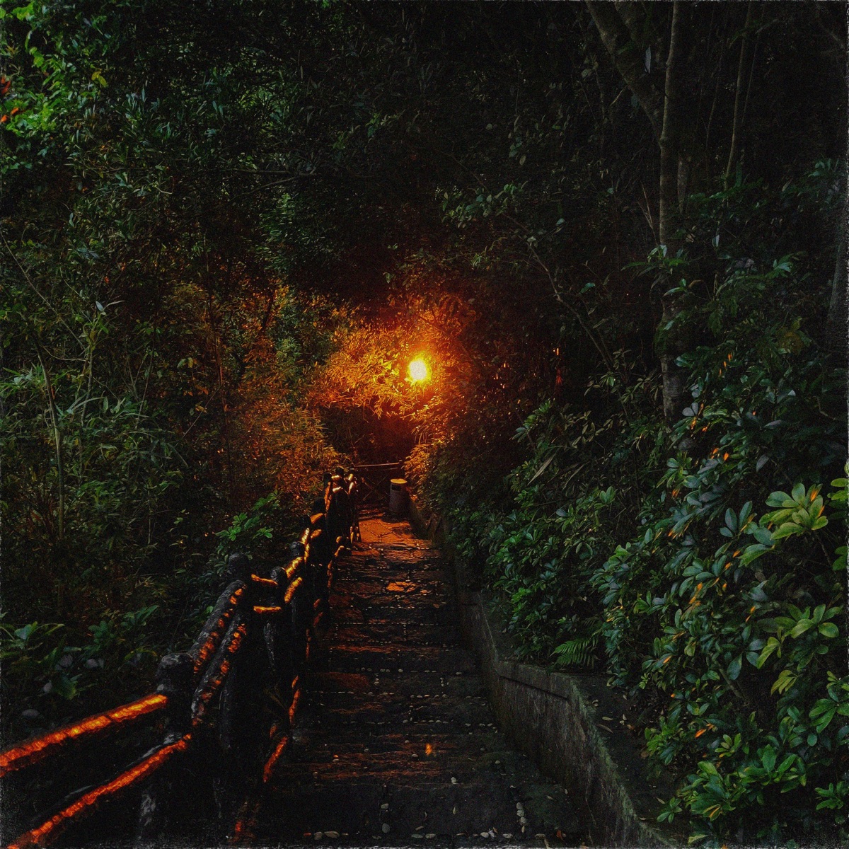 Night Walk - Single by lechiffrebeats & Prins album cover