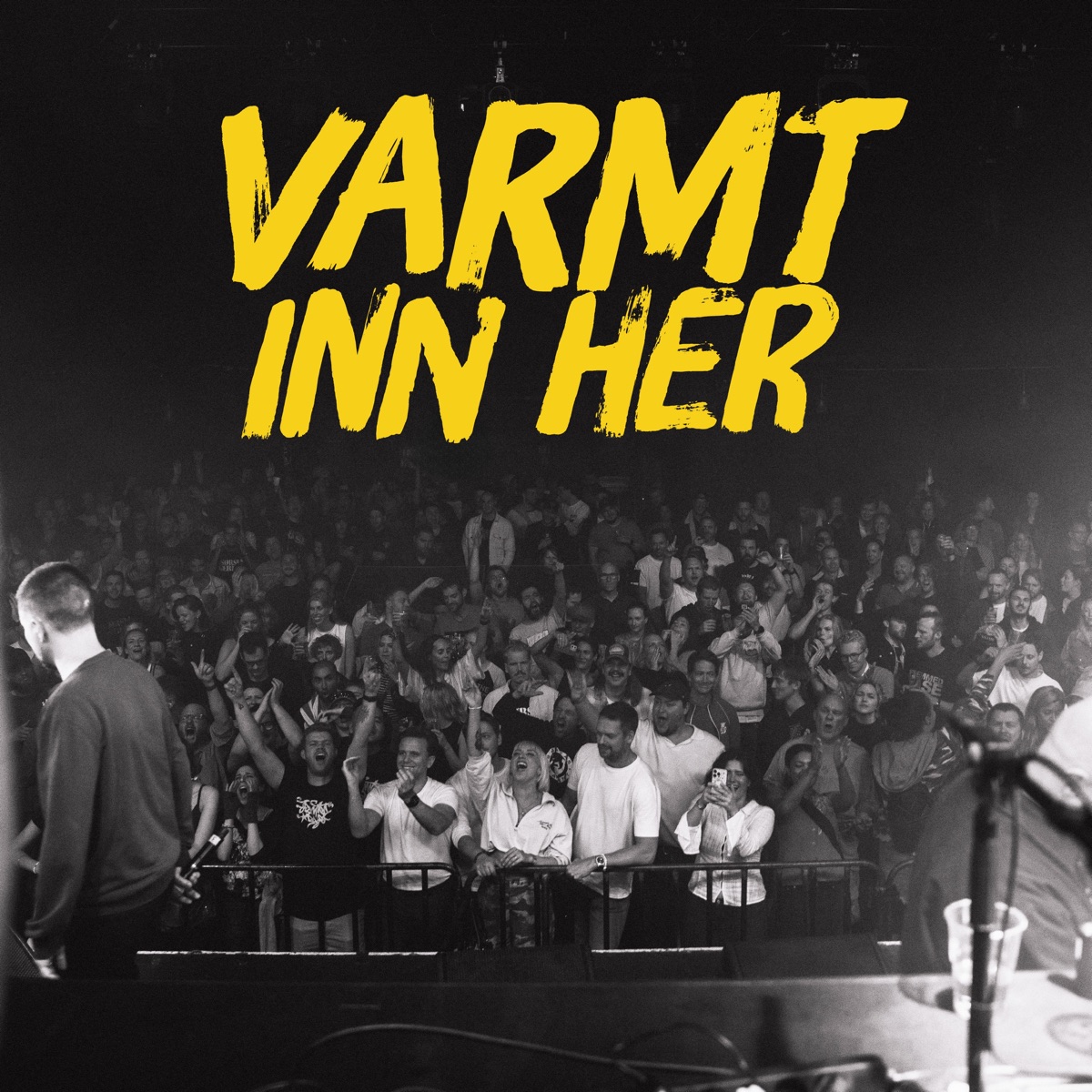 Varmt inn her (feat. Dr. Sepi & Joddski) - Single by Fremmed Rase album cover