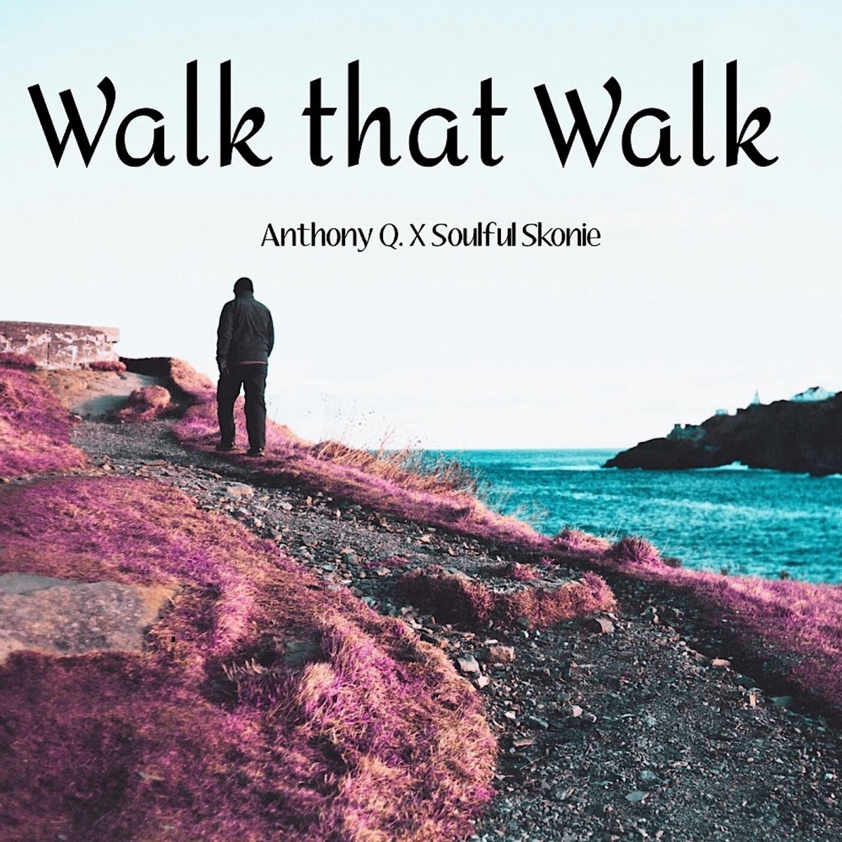 Walk that Walk - Single by Anthony Q. album cover