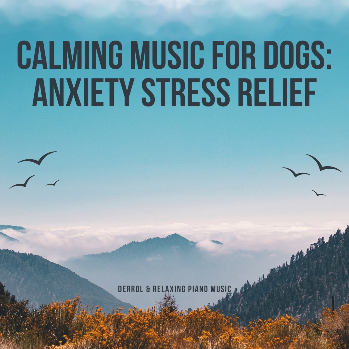 Calming Music For Dogs: Anxiety Stress Relief by Derrol & Relaxing Piano Music album cover