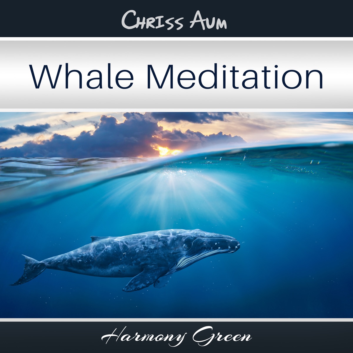 Whale Mental Stillness by Harmony Green & Chriss Aum album cover