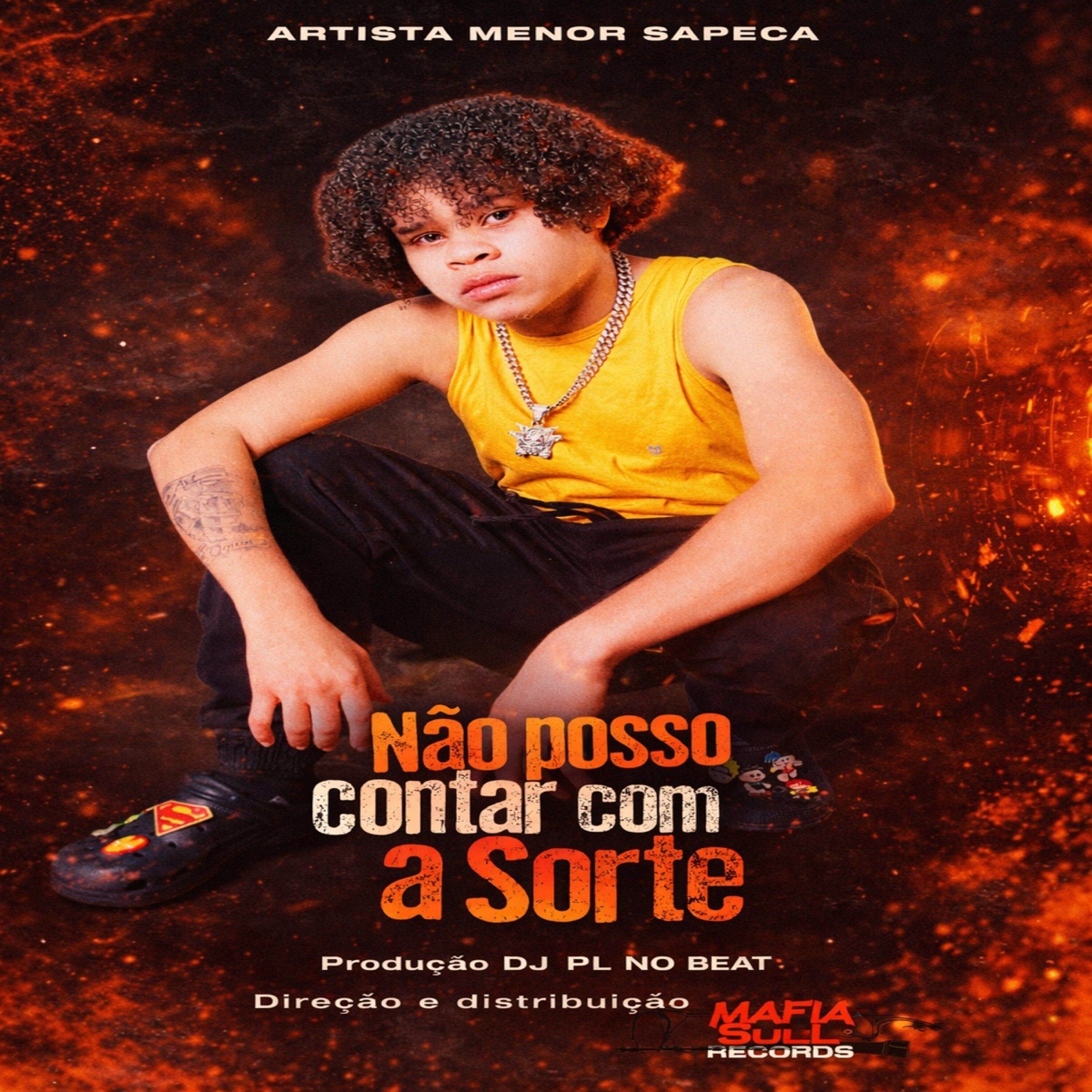 Não posso contar com a Sorte (feat. Máfia Sul Records & DJ PL NO BEAT) [with M��FIA SUL RECORDS] - Single by Menor Sapeca album cover