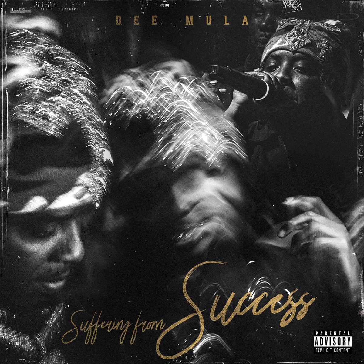 Suffering From Success by Dee Mula album cover