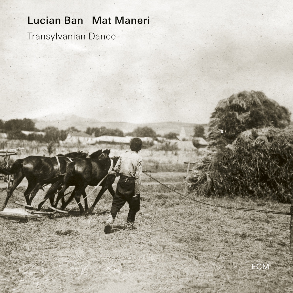 Transylvanian Dance (Live) by Lucian Ban & Mat Maneri album cover