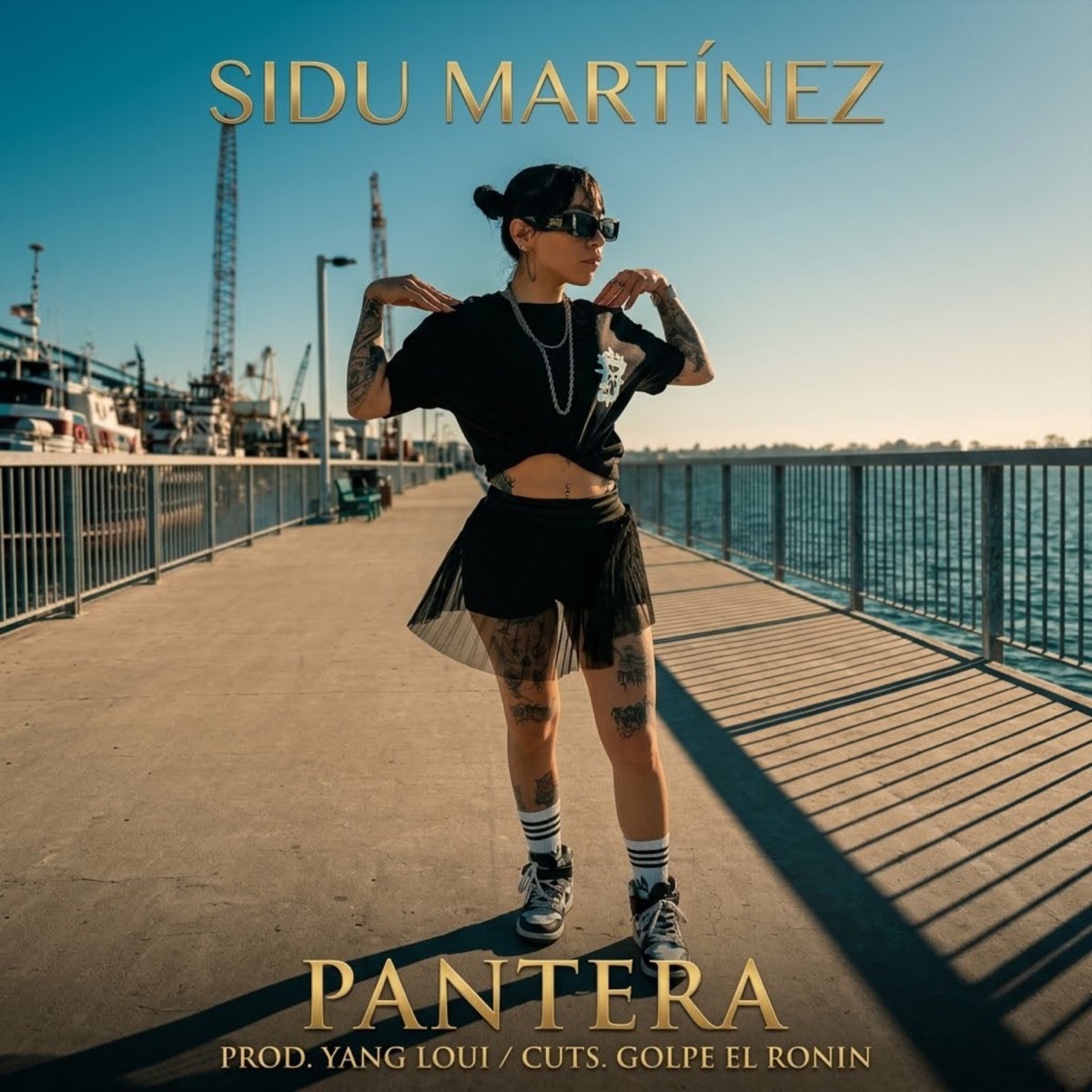 Pantera (feat. Golpe el Ronin) - Single by Sidu Martínez album cover