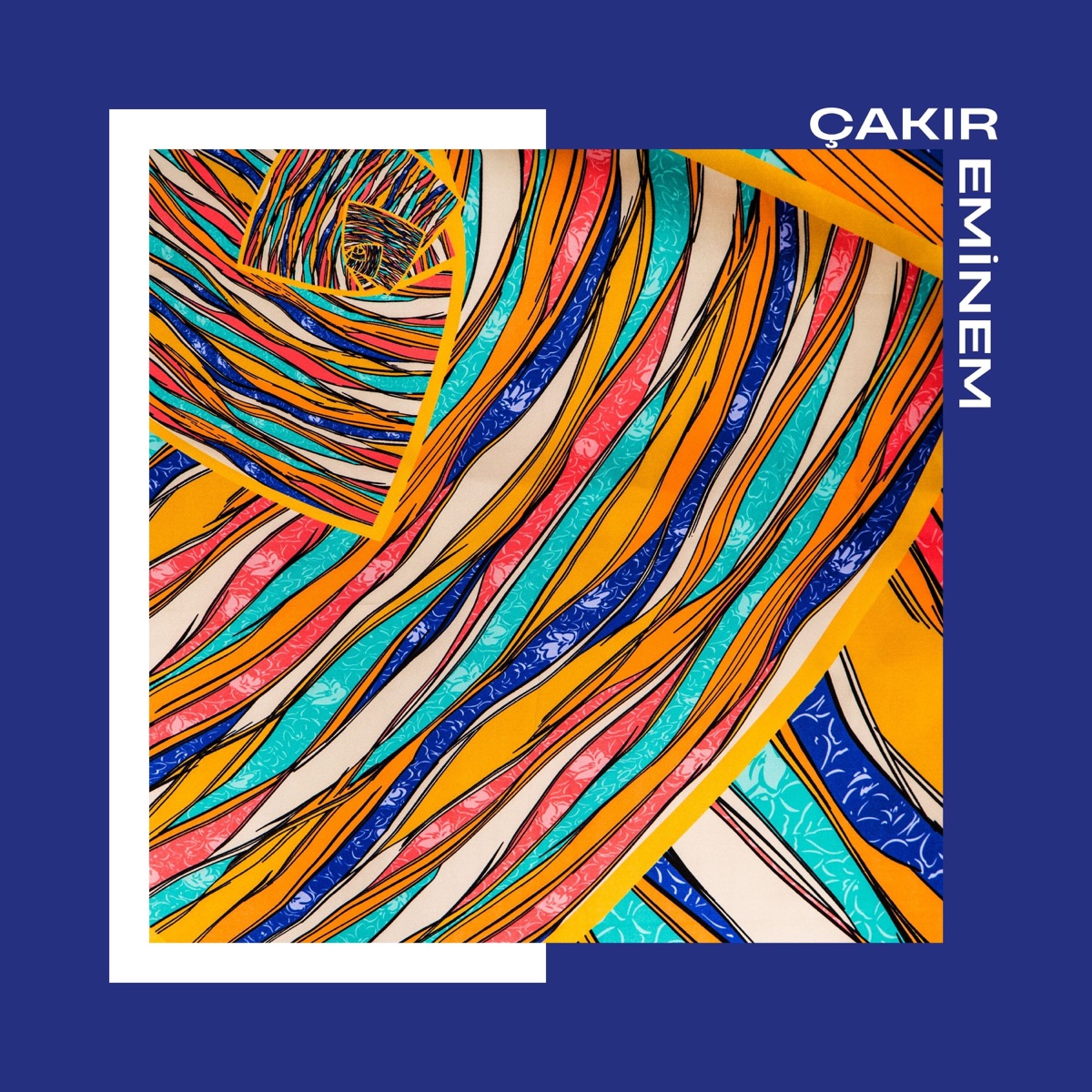 Çakır Eminem by ahmet sayar, Ertan Dağ, Taylan Bingül & Kemal album cover