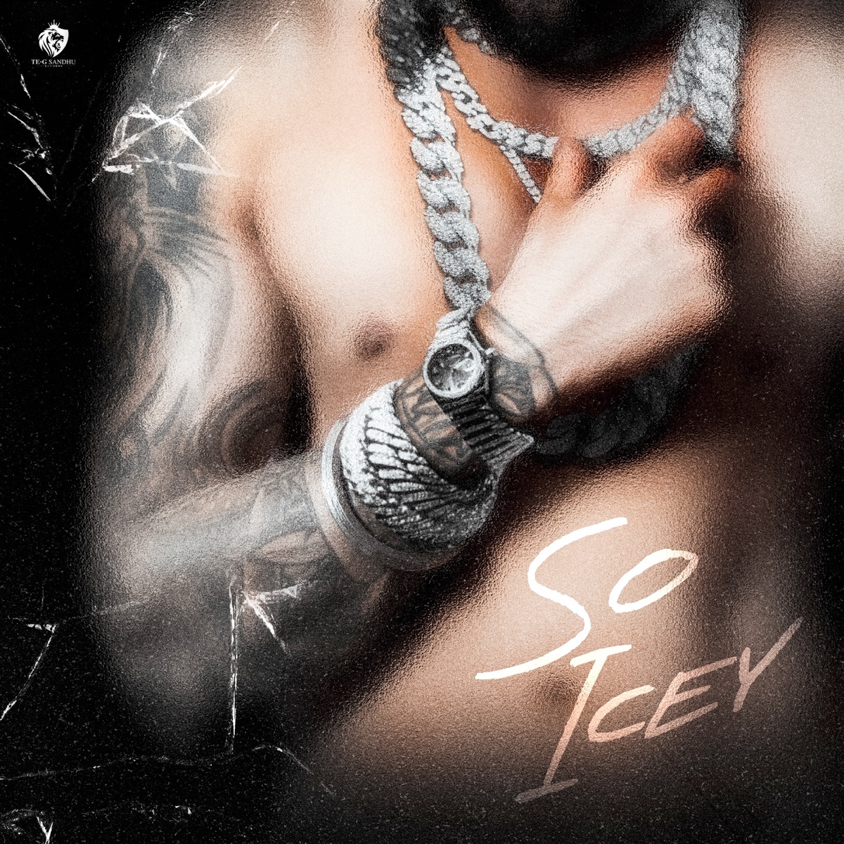 So Icey - Single by Te-G Sandhu album cover