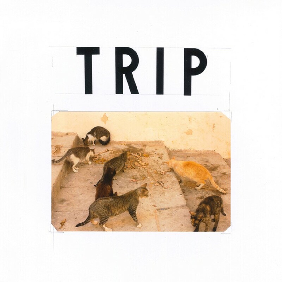 Chookity Pok (TRIP ASS) - Single by Miguel Grimaldo album cover