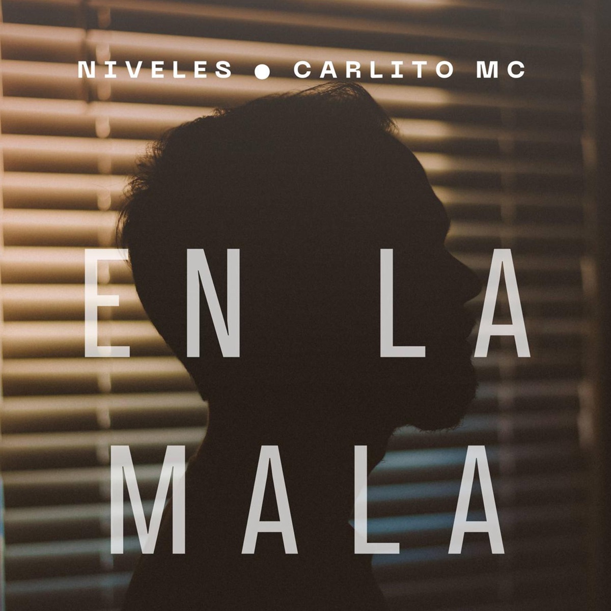 EN LA MALA - Single by Niveles & Carlito MC album cover