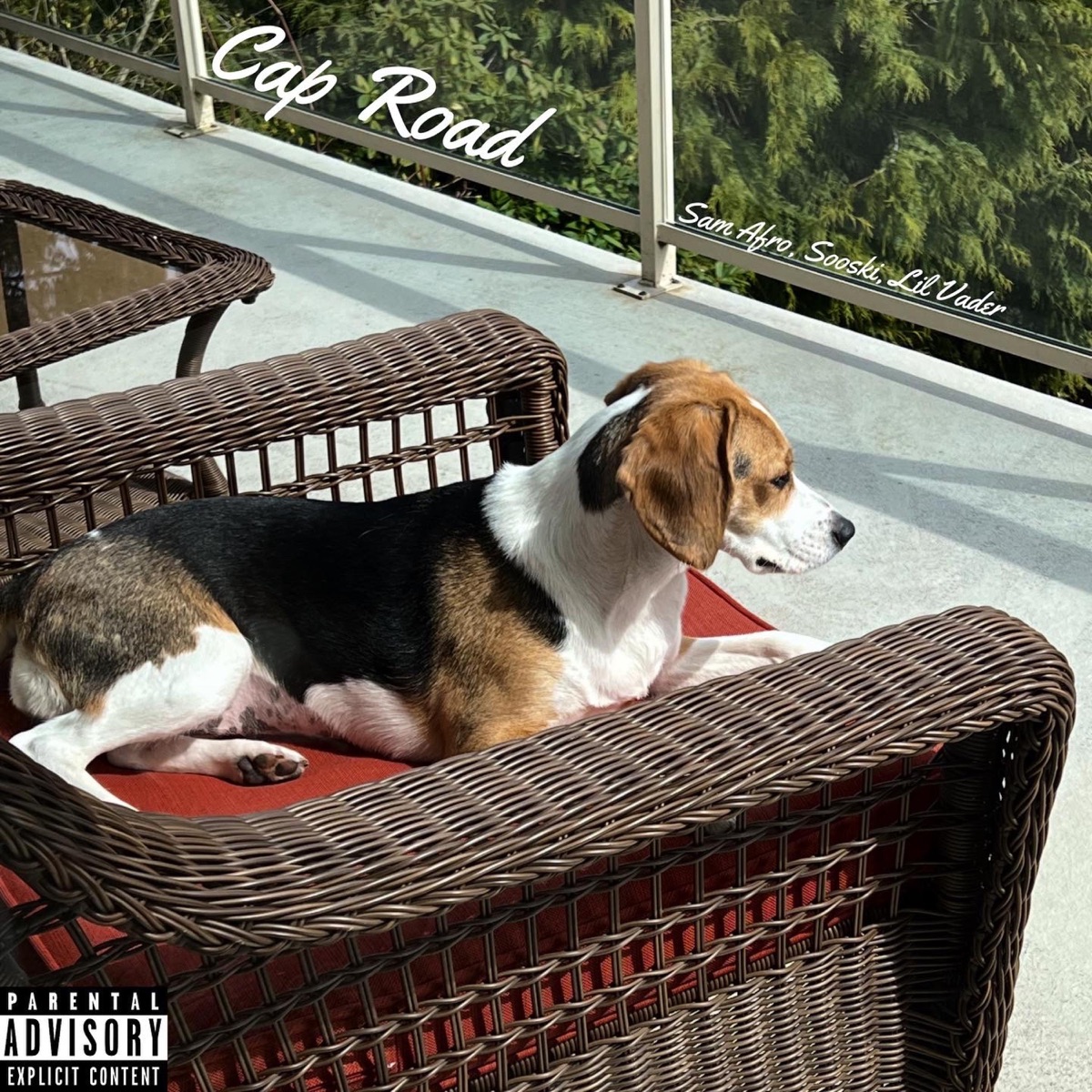 Cap Road (feat. Sam Afro & Sooski) - Single by Lil' Vader album cover