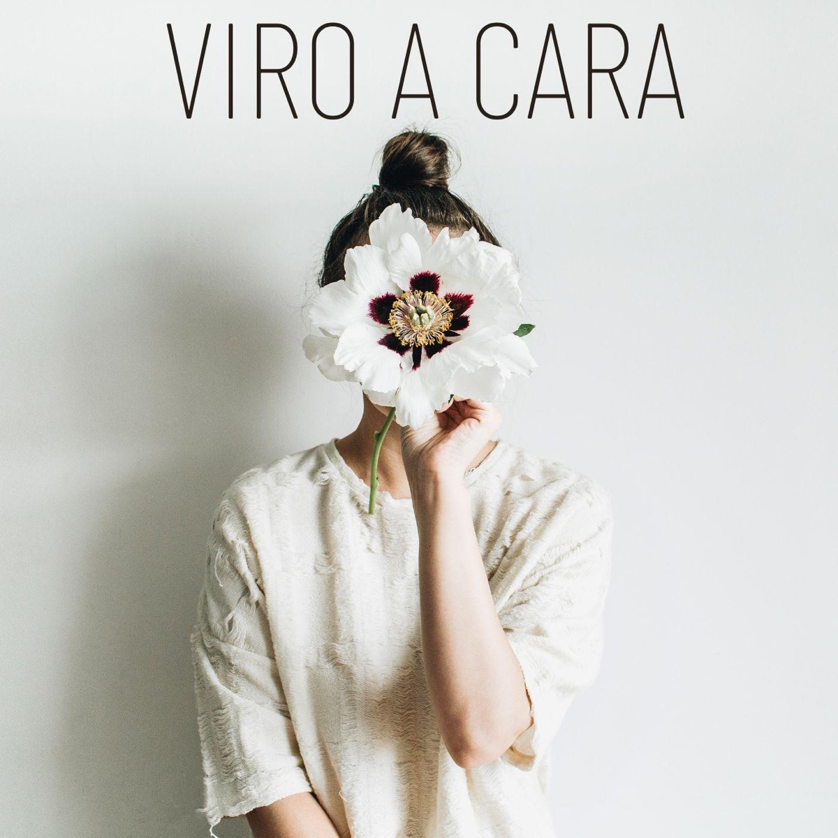Viro a Cara (feat. Mc 2k) - Single by Ari Falcão & Dj Lello album cover