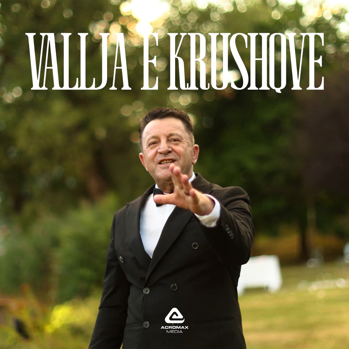 Vallja e Krushqve - Single by Ylli Baka album cover