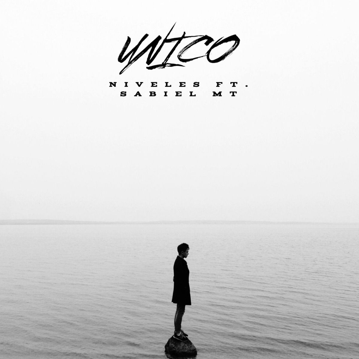 UNICO (feat. sabiel mt) - Single by Niveles album cover