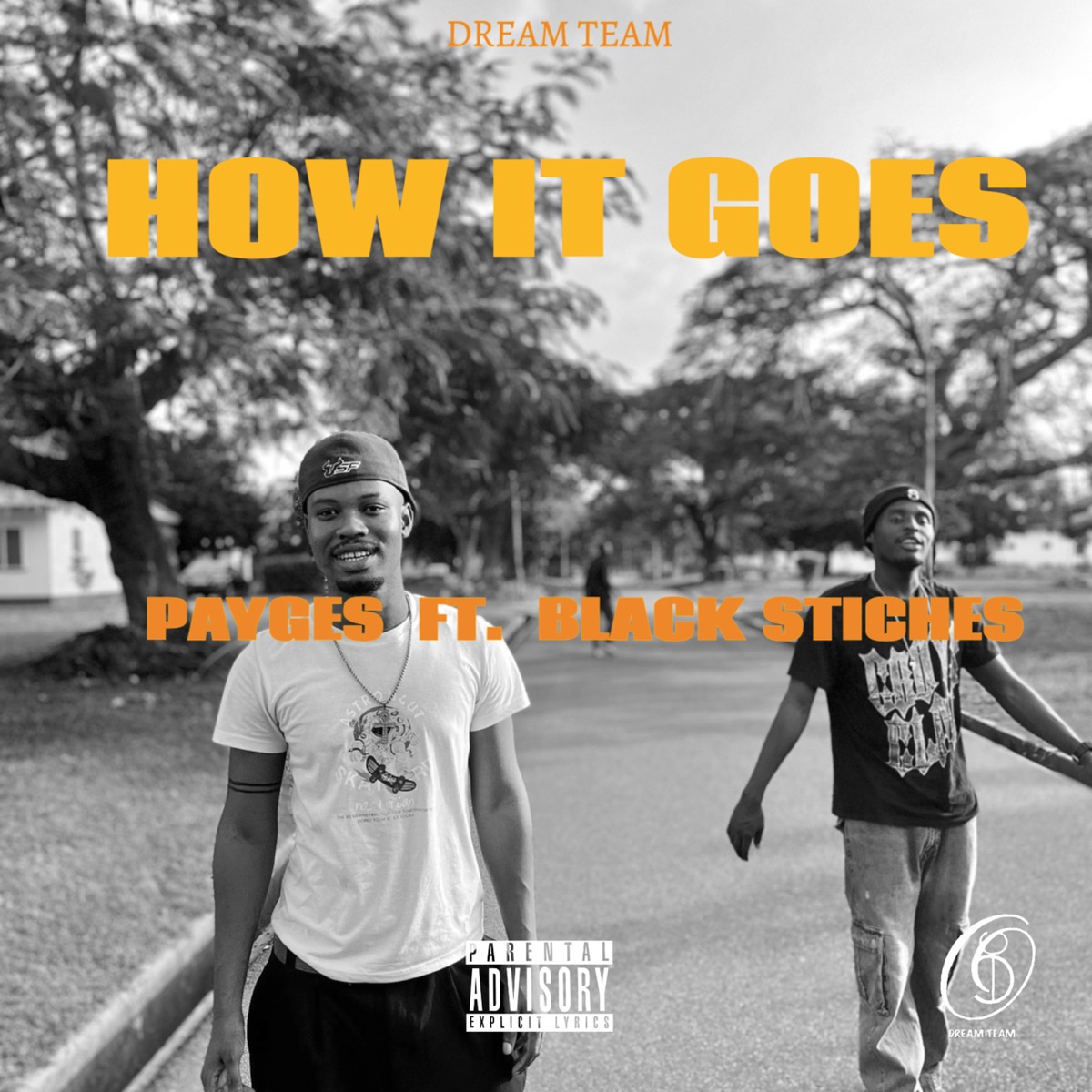 How It Goes (feat. Black Stiches) - Single by Payges album cover
