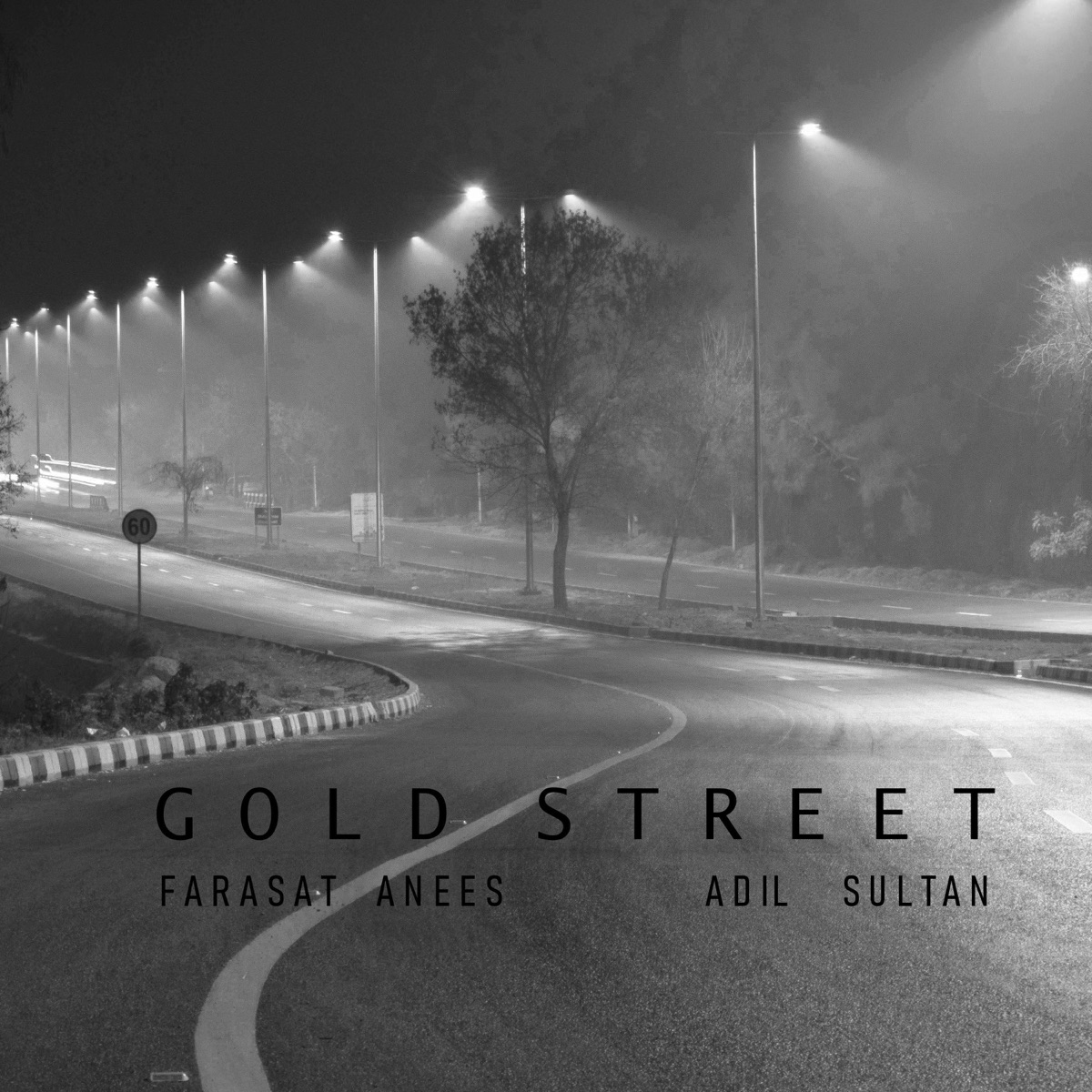 Gold Street (feat. Adil Sultan) - Single by Farasat Anees album cover