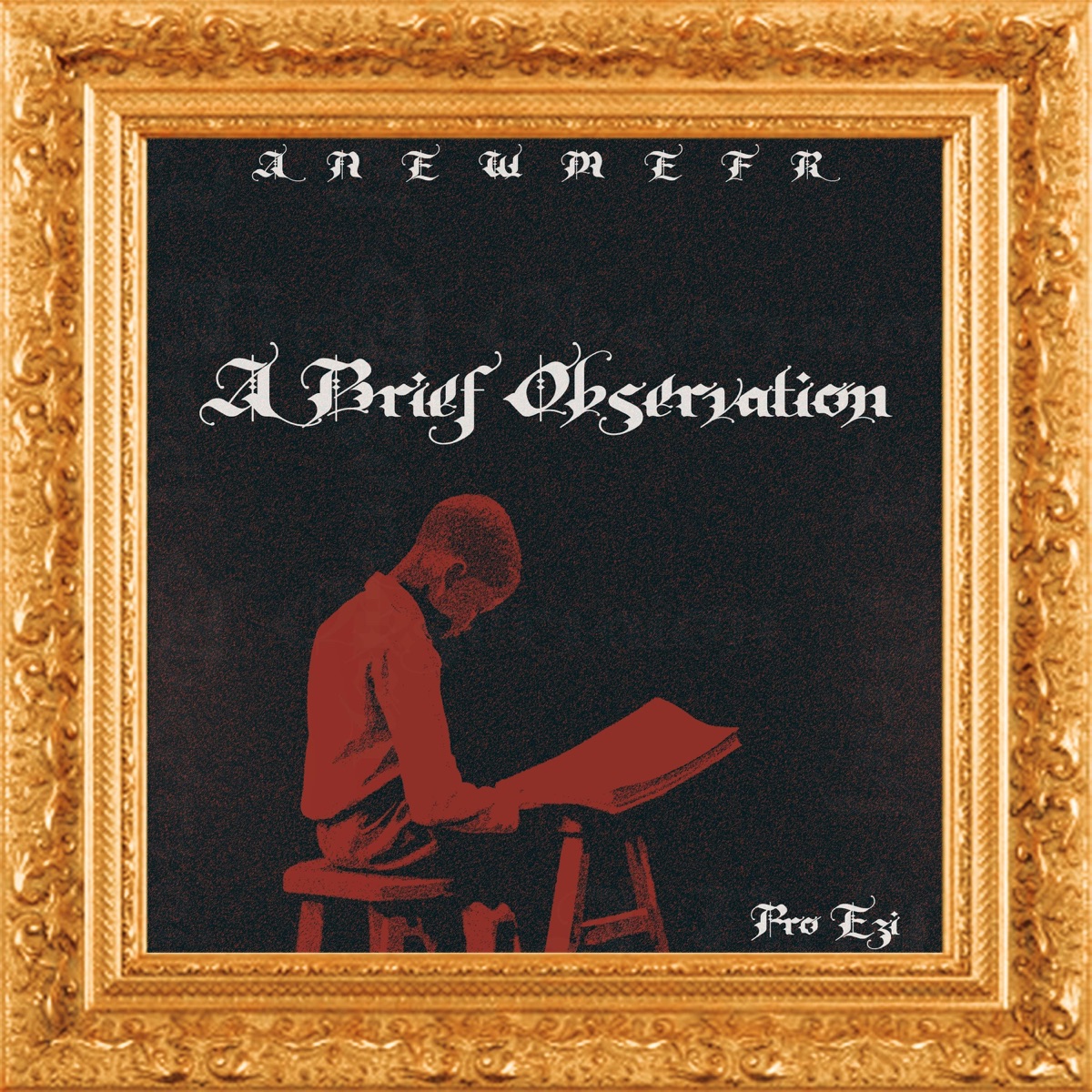 A Brief Observation - EP by Anewmefr album cover