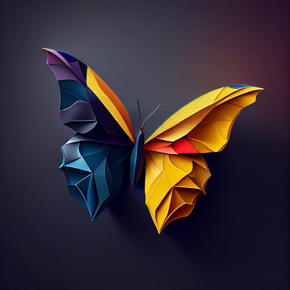 T'kom pa (feat. Eri Qerimi) - Single by DG Music album cover