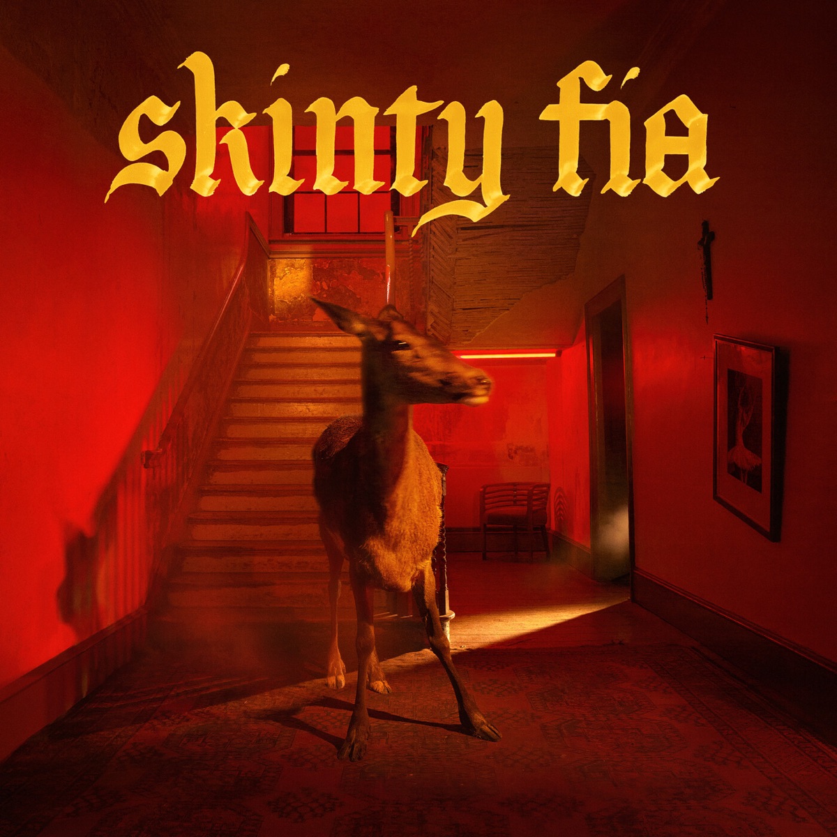 Skinty Fia by Fontaines D.C. album cover