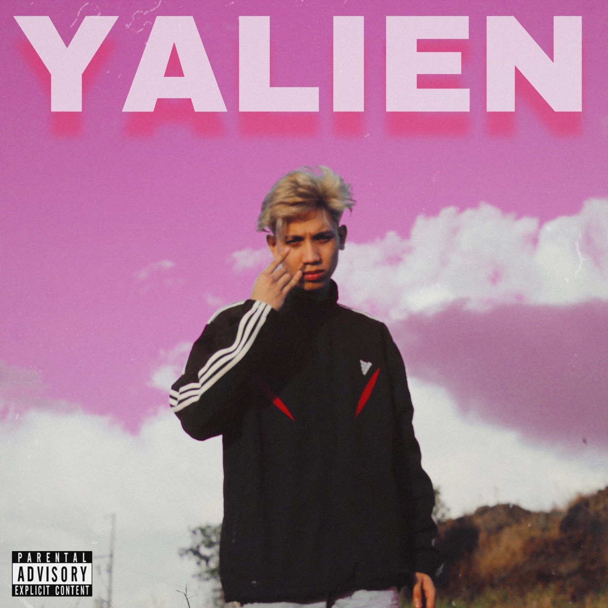 Cosmos by Yalien Dahlen album cover
