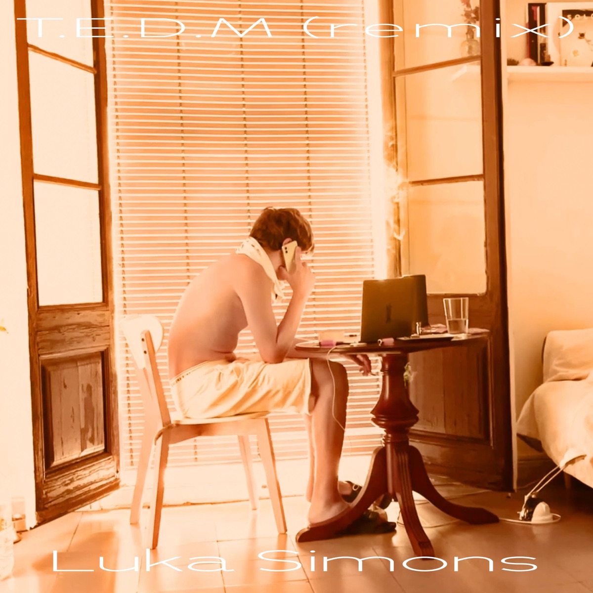 T.E.D.M (remix) - Single by Luka Simons album cover