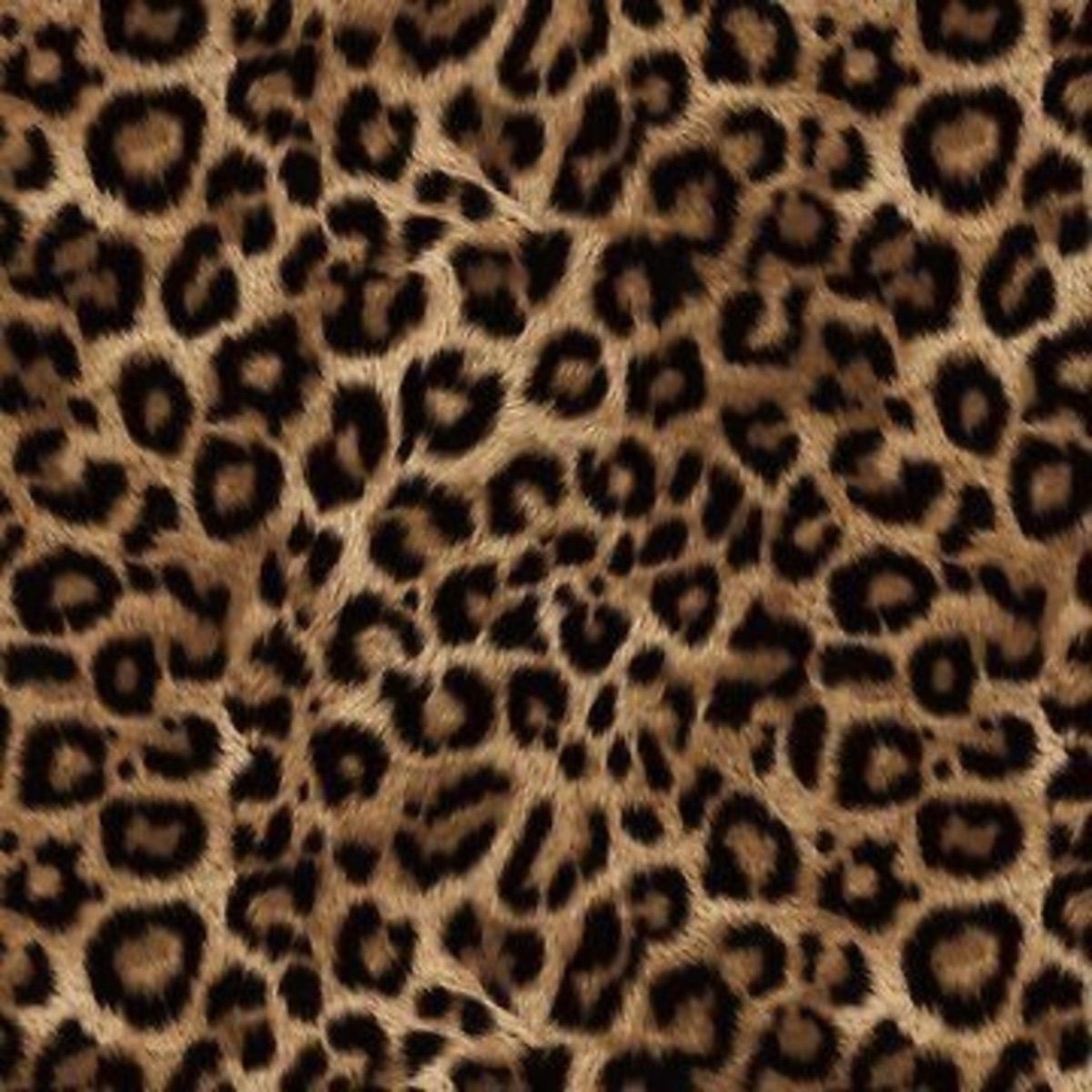 leopard jeans - Single by slxm album cover