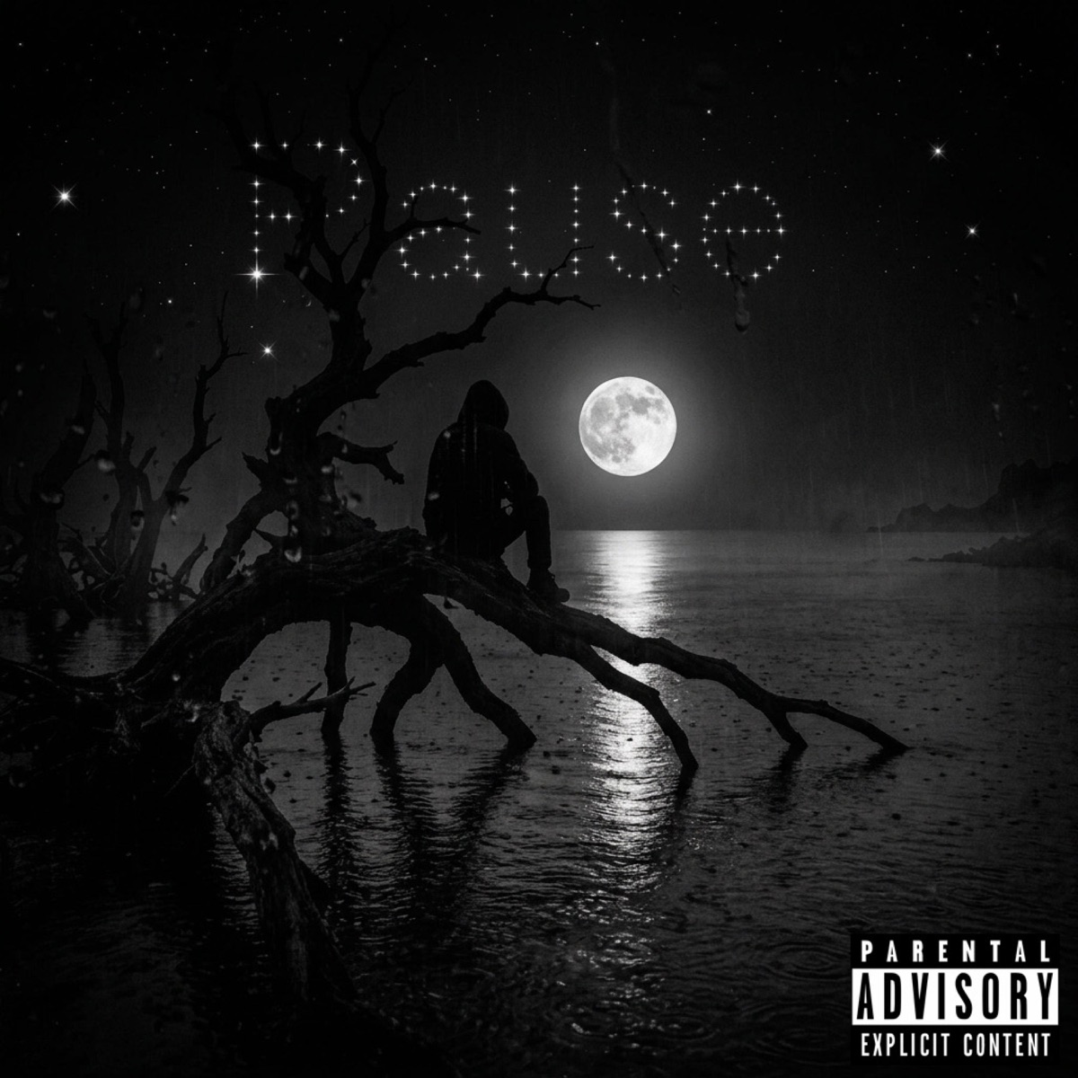 Pause - Single by Braax album cover